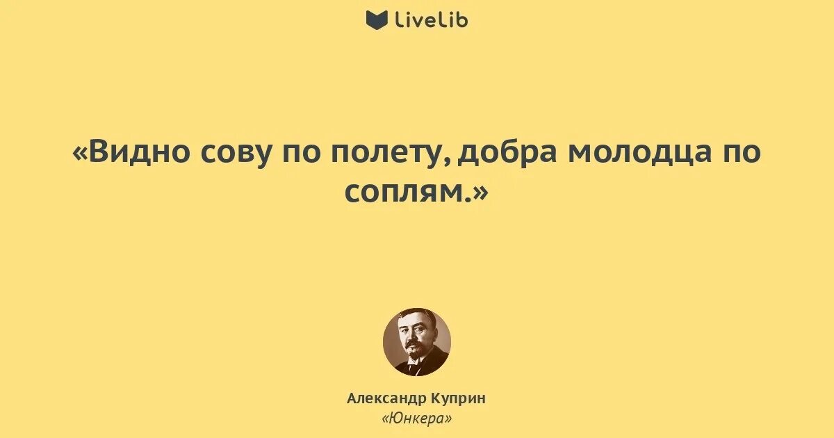 "белоголовый орлан". Куприн мем. Роман юнкера куприн. Сокол балобан парящий. Сокол сапсан ястреб коршун.