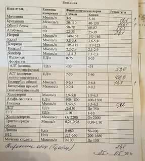Биохимический анализ мочи креатинин