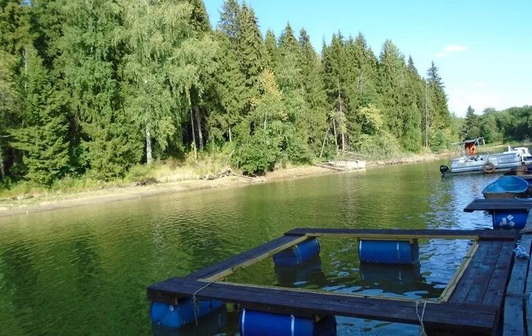 Пляж трусово истра. Дом рыбака на истринском водохранилище. База нептун истра. Дача на истре. Берег истринского водохранилища.