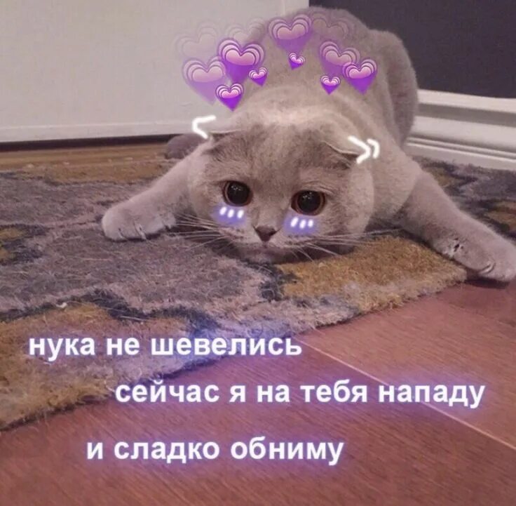 Meme: "Не грусти мармелада" - All Templates - Meme-arsenal.com