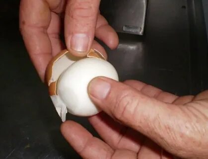 Как быстро очистить скорлупу