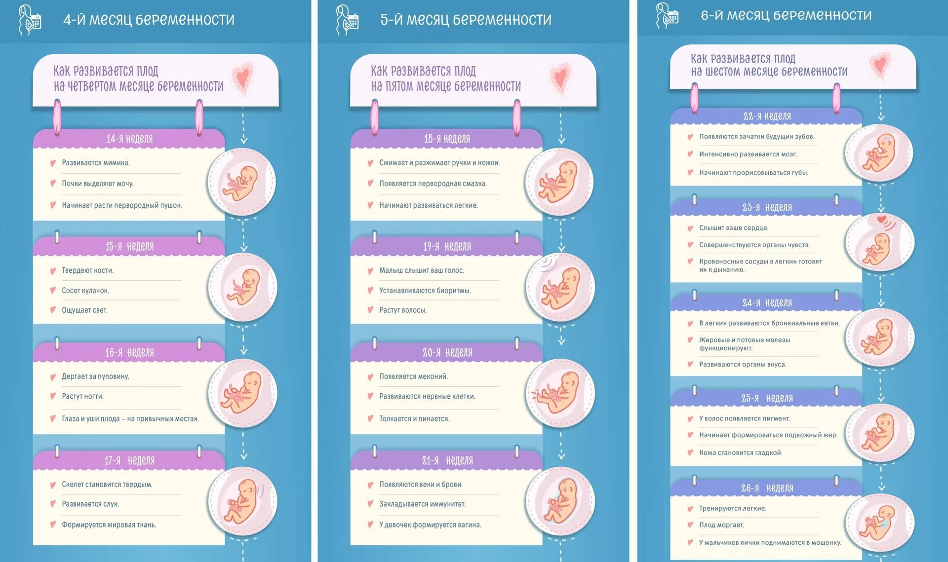 Первые недели использования. Формирование плода. 1 Симптомы беременности. Формирование беременности по неделям. Признаки беременности на 1 месяце.