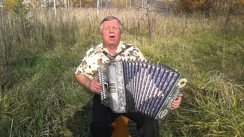 У дуба старого песня под гармонь