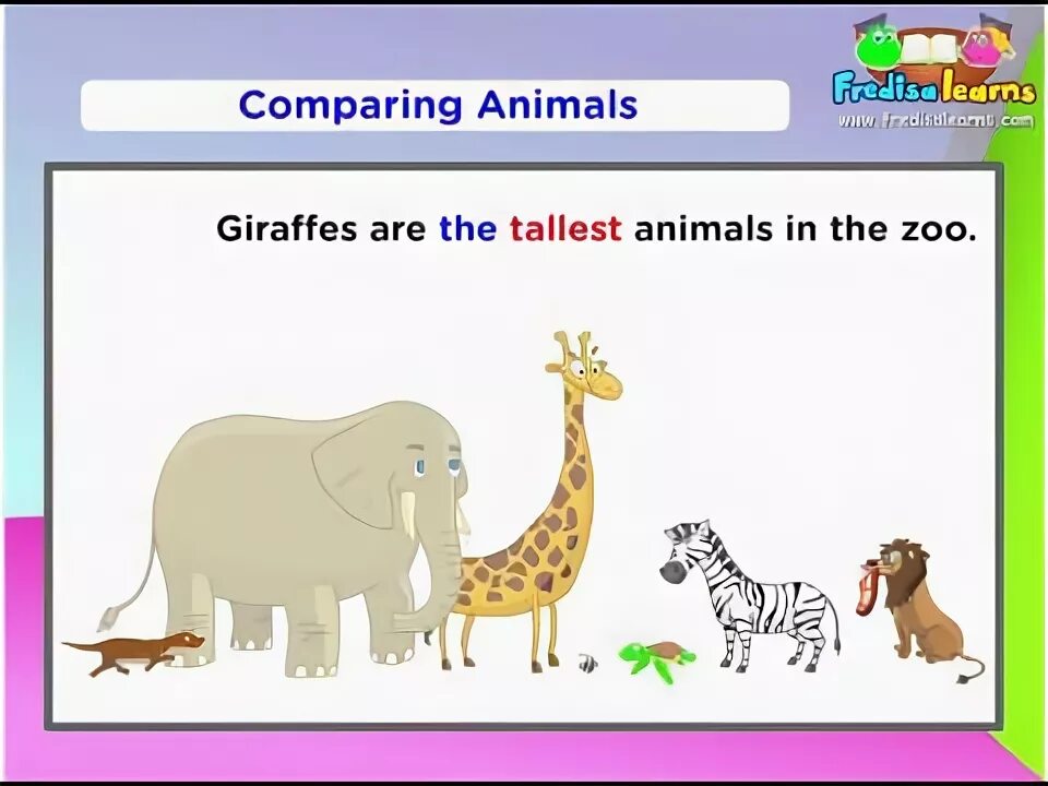 Compare animals. Comparatives animals for Kids. Comparative adjectives animals Kids. Degrees of Comparison animals. Animals Comparison.