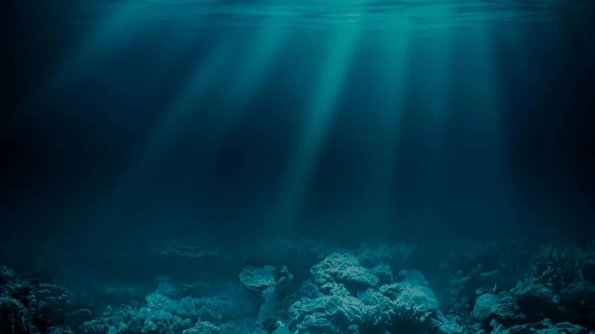 Толщи вод океанов. Морские глубины. Дно океана. Океаны. Глубина. Море под водой.