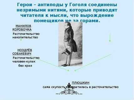 Антипод