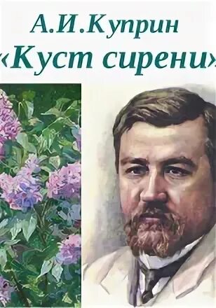 Куприн куст читать