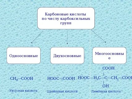Одноосновная органическая кислота