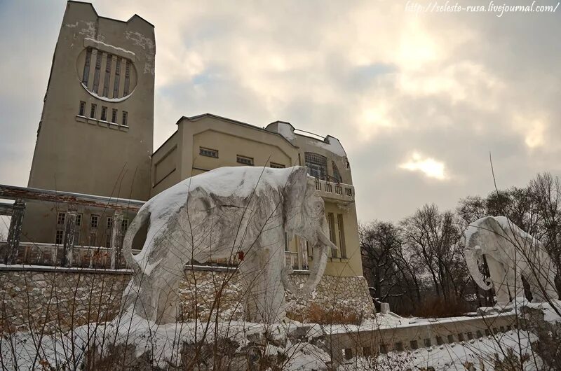 Дом со слонами внутри. Дом со слонами самара. дача со слонами головкина. усадьба головкина приведения. дом со слонами самара внутри.
