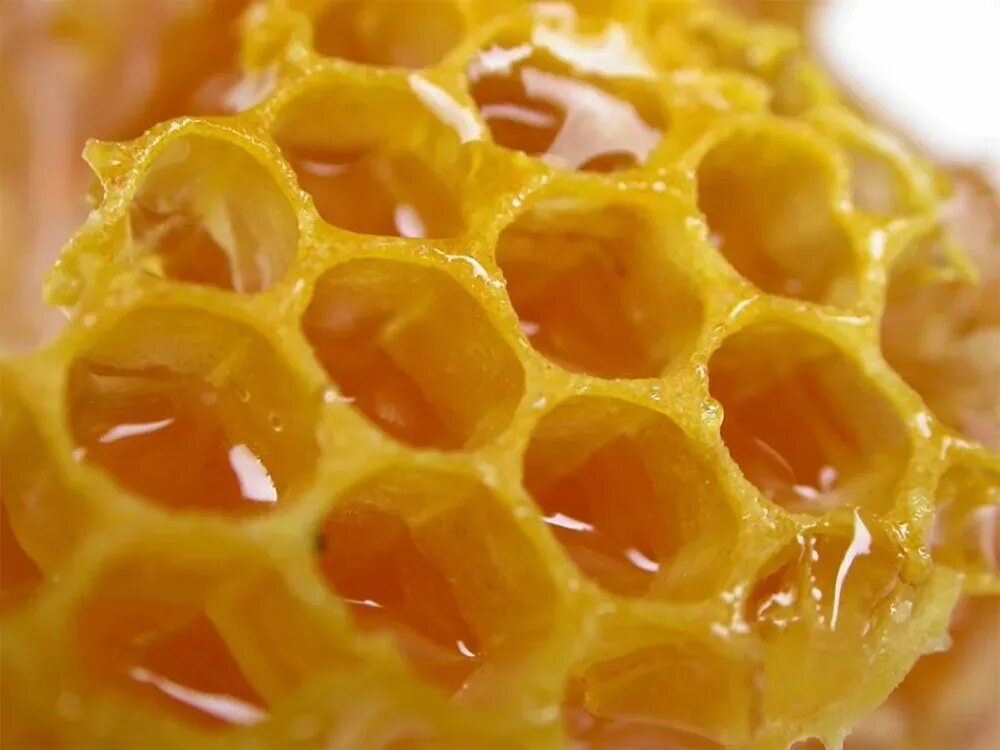 Забрус пчелиный. Пчелиный воск забрус. Медовый забрус. Мёд в сотах.