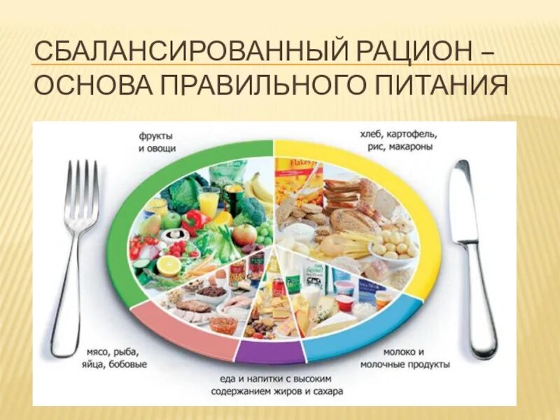 Сбалансированное питание пищевой рацион. Сбалансированное питание пищевой рацион