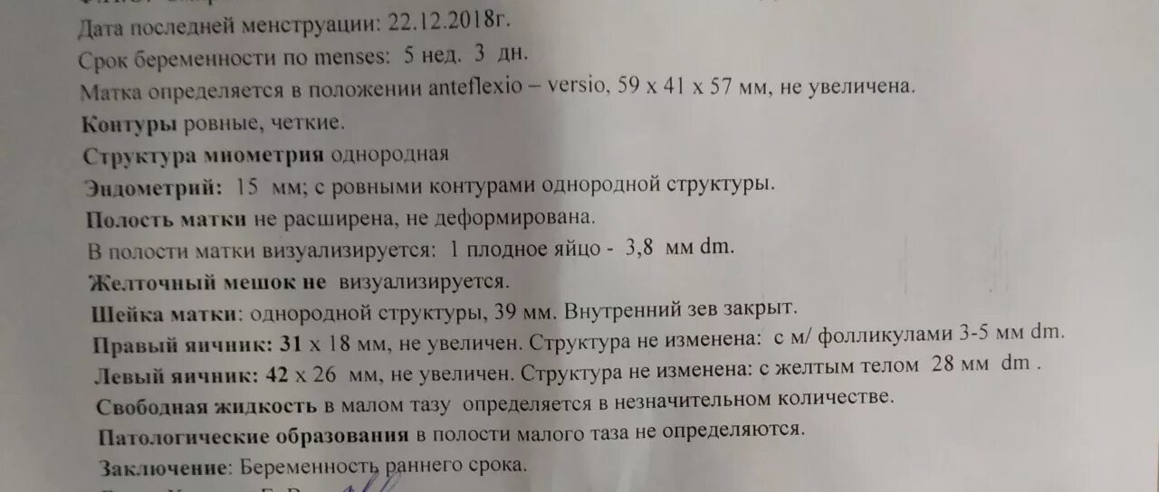 Желточный мешок на УЗИ норма. УЗИ 6 недель беременности желточный мешок. Нормы размера плодного яйца и желточного мешка. Желточный мешок при беременности 5 недель.