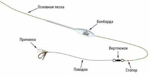 Ловлю бомбардой