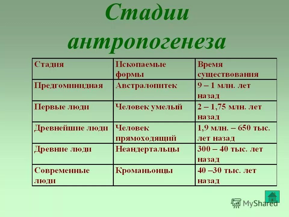 Таблица основные этапы антропогенеза таблица 11 класс. Таблица основные этапы антропогенеза таблица 9 класс. Основные стадии антропогенеза таблица 11 класс биология. Стадии антропогенеза таблица 9. Этапы антропогенеза биология