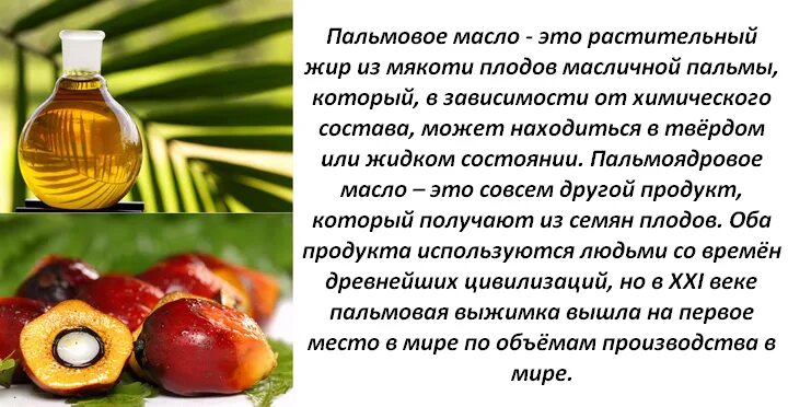 В каких продуктах пальмовое масло в россии. Пальмовое масло. Пальмовое масло вред и польза для организма. Пальмовое масло жир. Пальмовое масло вредное.