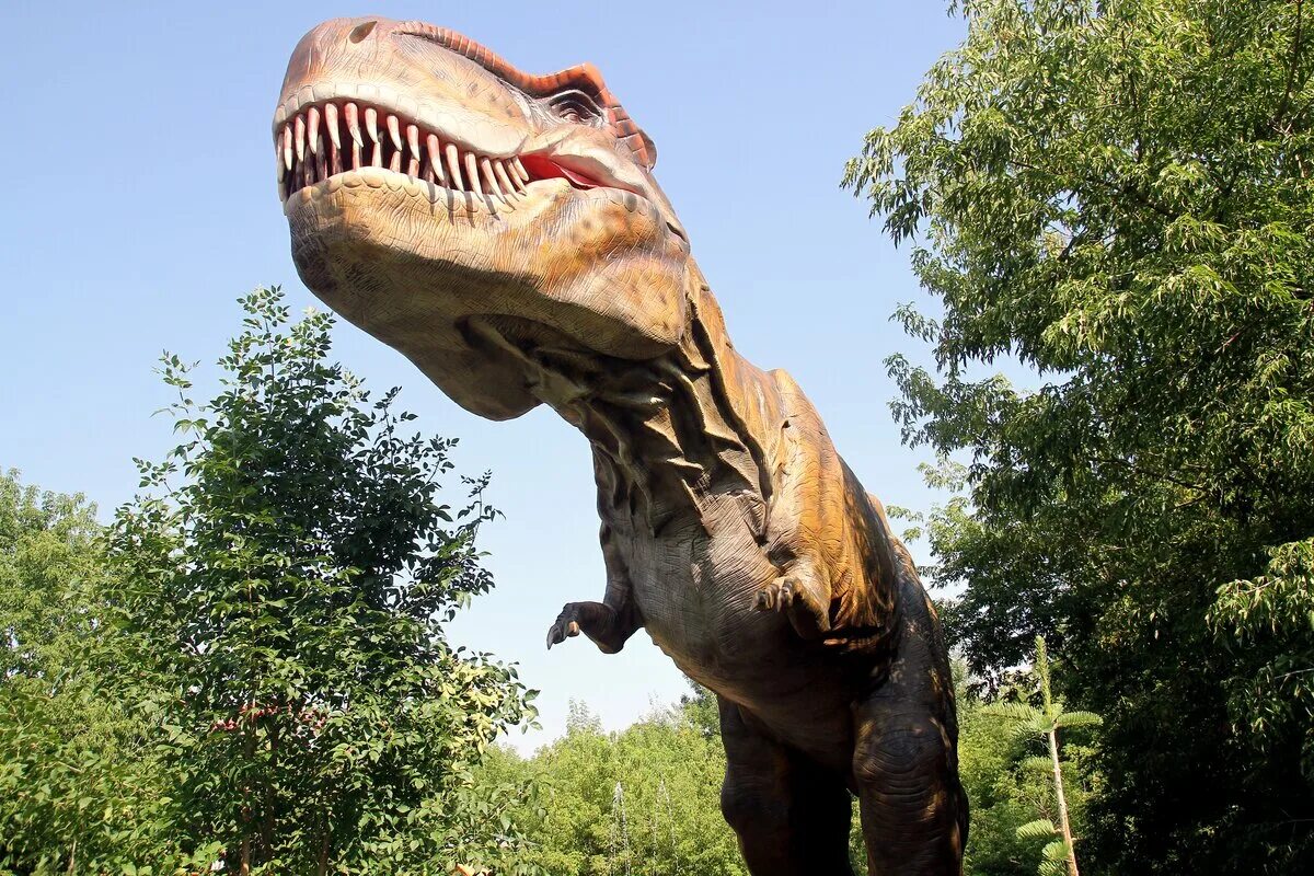 Парк про динозавров. Динопарк парк динозавров Уфа. Великие Луки парк динозавров. Парк динозавров Пхукет. Парк динозавров Батуми.