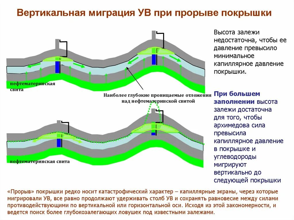Миграция скворцов. Миграция рыб презентация. Миграции рыб связанные с размножением. Саванны животные мигрируют. Миграция животных примеры.