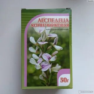 Леспедеца копеечниковая