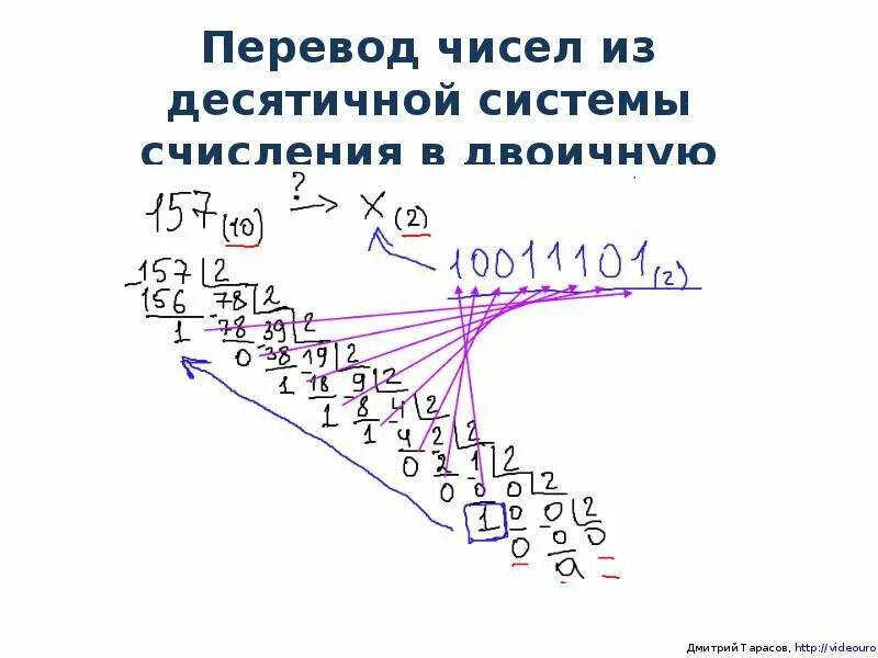 Из десятичной системы счисления в двоичную систему счисления. Из двоичной в десятичную систему счисления. Перевести числа из десятичной системы счисления в двоичную. Переведите числа в двоичную систему счисления. Шестеричное число в десятичную