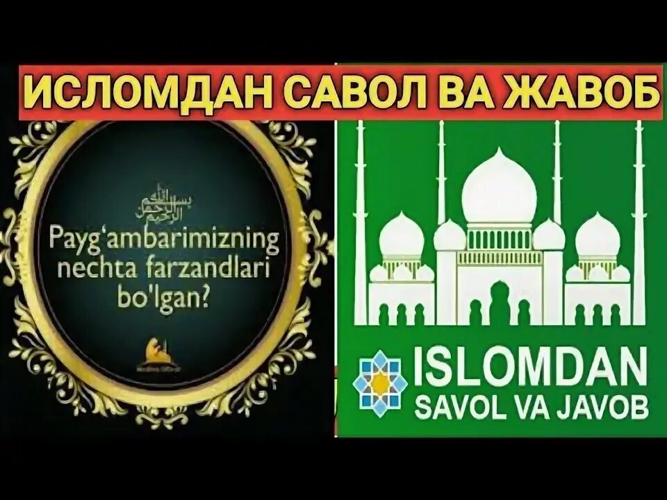 Savol javob