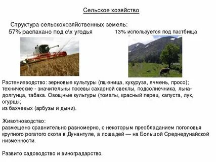 Отрасли сельского хозяйства венгрии