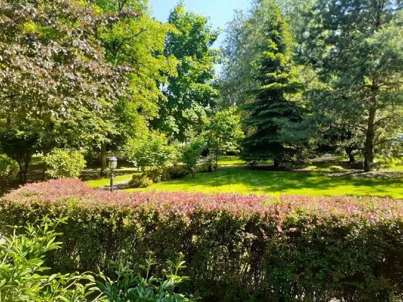 парк зиларт набережная в москве. лср зиларт парк торфянка. пушкин. сад марии федоровны в павловске. собственный парк.