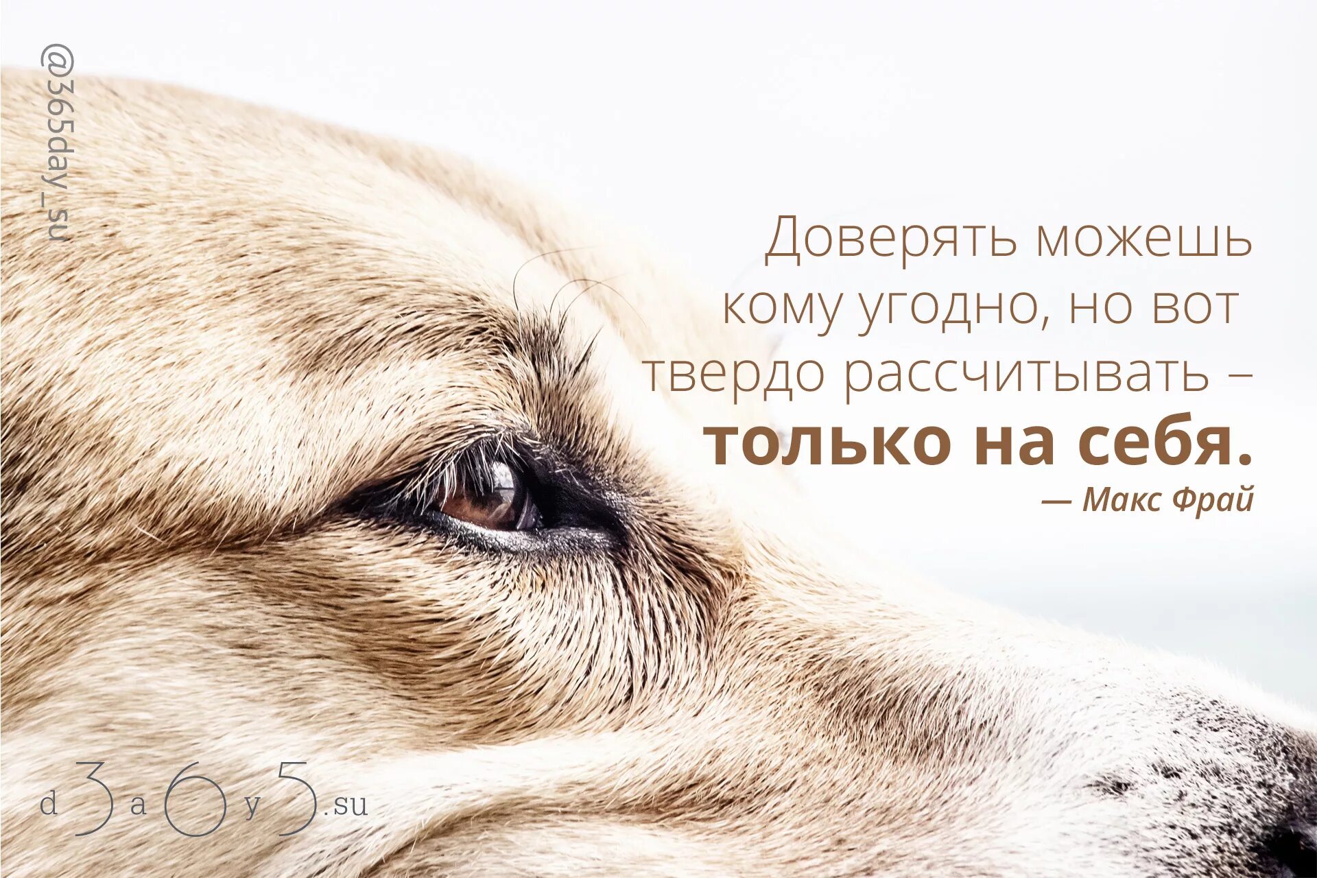 Кто угодно кроме него. Высказывания про доверие. доверяй только себе цитаты. доверяю только себе цитаты. доверять можно кому угодно но вот твёрдо рассчитывать только на себя.