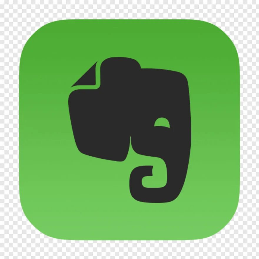 Логотип эвернот. Ever note. Фон для evernote. Логотип эвернот. Ever note.
