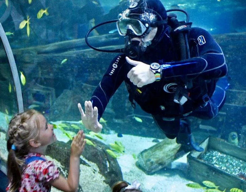 Дискавери сочи. Океанариум Sochi Discovery World Aquarium. Сочи аквариум Дискавери. Сочинский аквариум Адлер. Курортный городок Адлер океанариум.