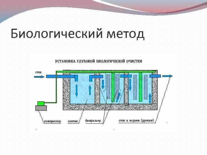 Используются для очистки сточных вод. Биологическая очистка воды схема. Биохимический метод очистки сточных вод схема. Биологический метод очистки сточных вод схема. Основой метода биологической очистки сточных вод, является ….