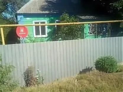 Авито давыдовка воронежская