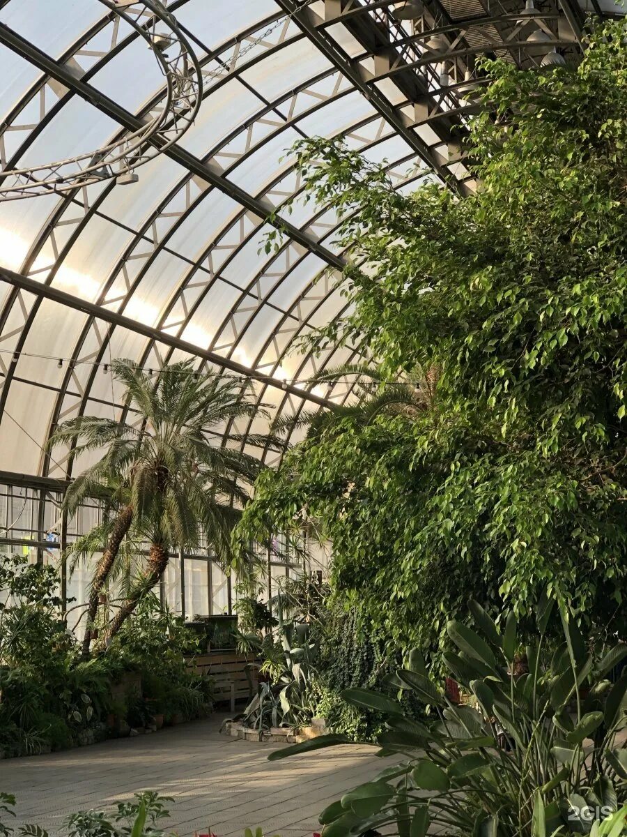 Петербург оранжерея таврического сада. Питер оранжерея таврического сада. Кафе оранжерея таврический сад. Таврический сад спб оранжерея. Кафе оранжерея таврический сад.