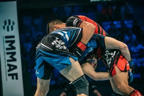 Единоборства чемпионат