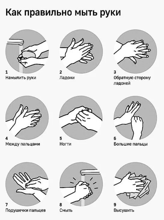 Гигиена мытья рук. Обработка рук. Показания для обработки рук. Европейский стандарт обработки рук.