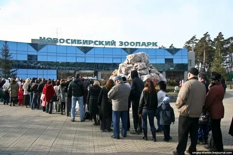 Веб зоопарк