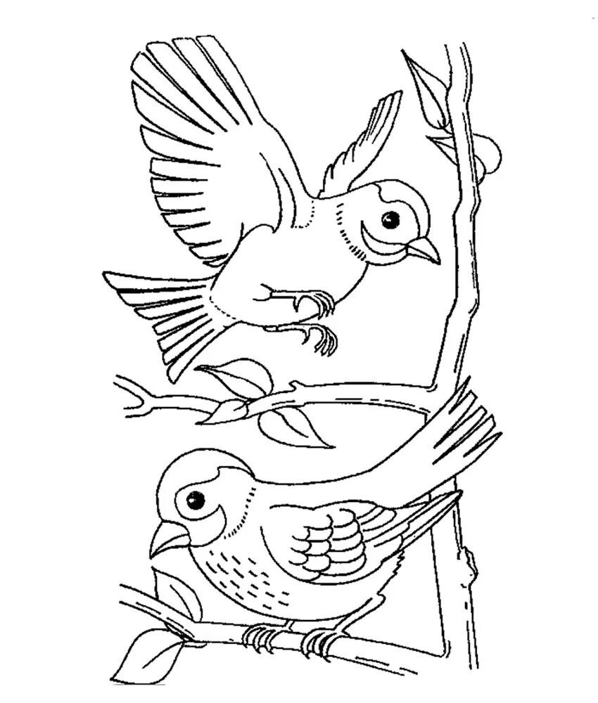 Сказка воробей распечатать. Растрепанный воробей раскраска. Сказка воробей распечатать. Птицы раскраска для детей. Птичка раскраска.