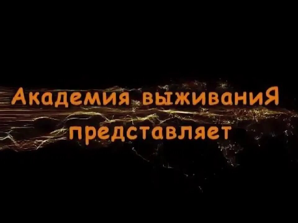 Академия выживания. Академия выживания студент по обмену 2.