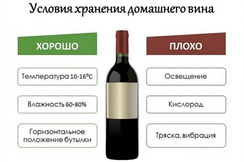 Домашнее вино сколько. Условия хранения вина. Хранение красного сухого вина. Срок годности открытого вина. Условия хранения вина в бутылках.