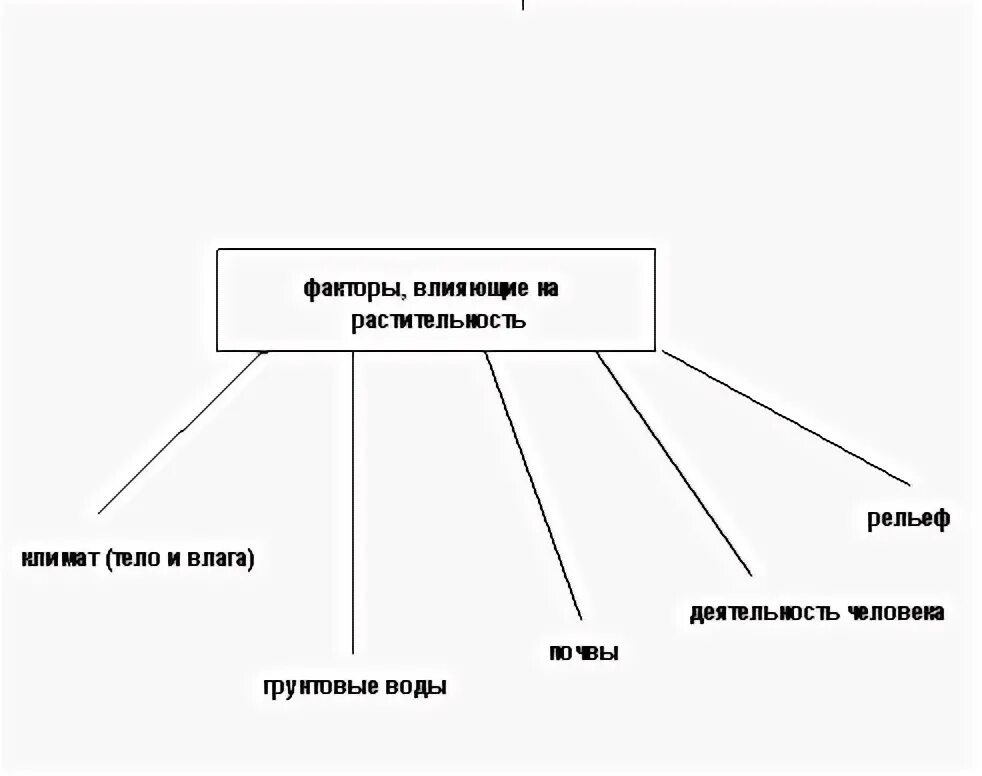 Причины влияющие на размещение растительности