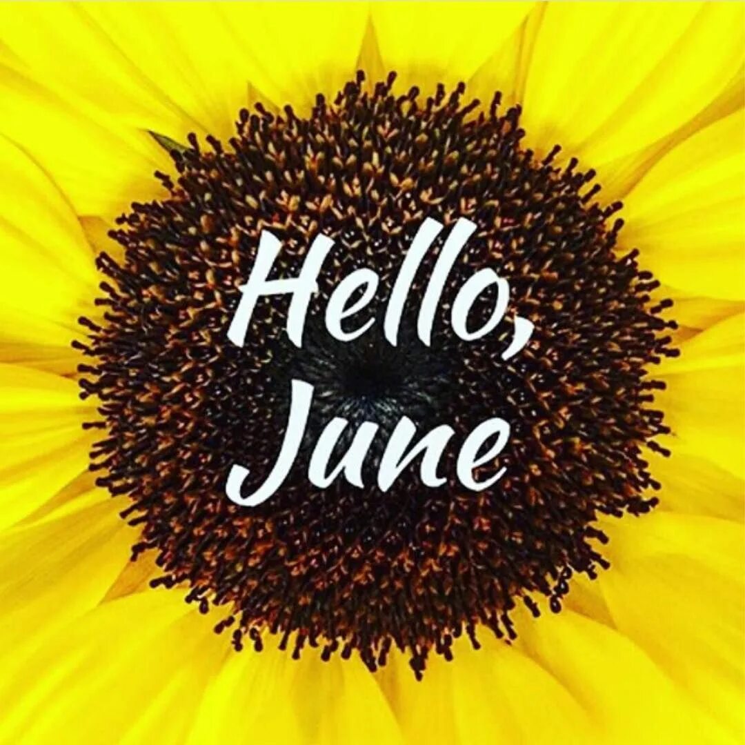 First june. Hello June картинка. June надпись. Привет июнь. Привет лето.