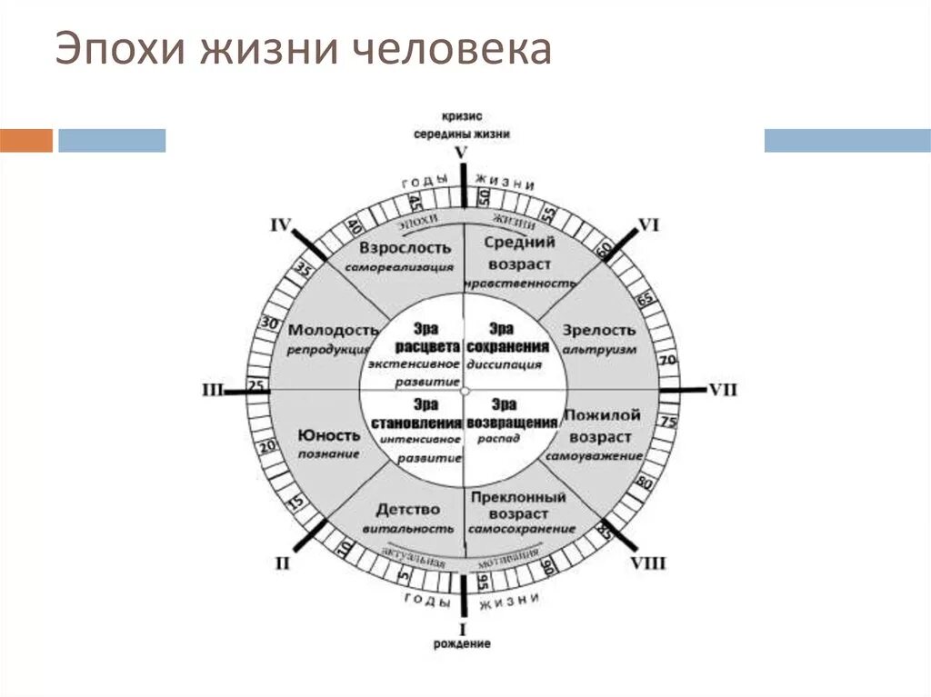 Системная периодизация развития б.н. Рыжова. Возрастные кризисы схема. Эпохи жизни человека. Периодизация человеческой жизни. Возрастные кризисы развития человека