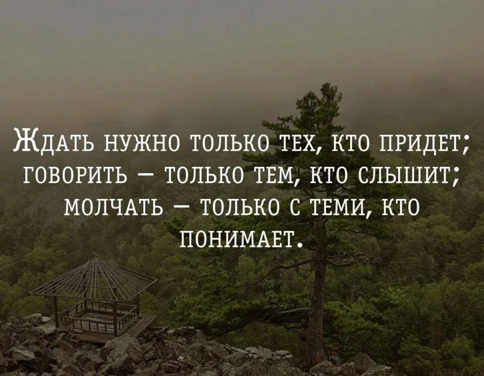 Жизненный слова смысл. Умные цитаты про жизнь. Мудрые высказывания о жизни. Цитаты со смыслом. Цитаты про жизнь.