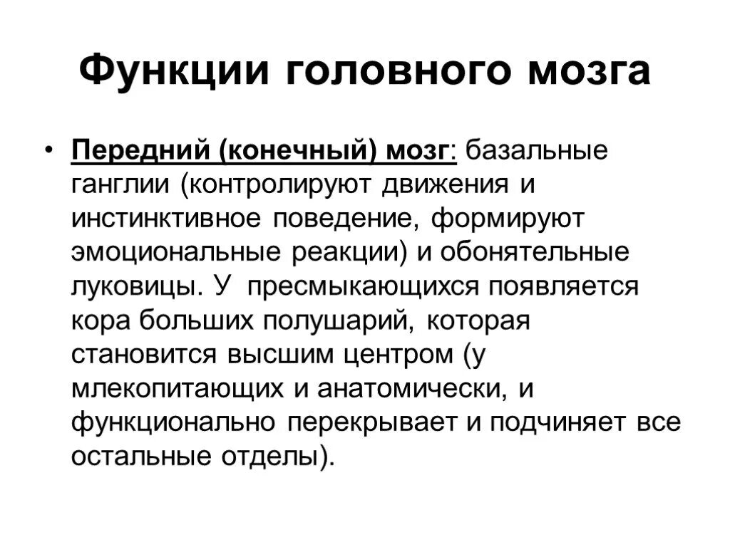 Передний мозг функции. Функции переднего могза. Конечный мозг функции. Передний конечный мозг.