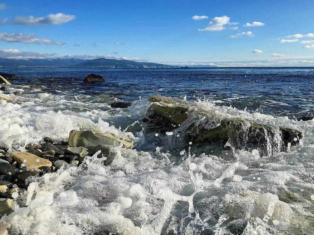 Погода новороссийск вода в море. Ветер Новороссийск море. Новороссийск море. Новороссийск климат. Северные ветра в Новороссийске.