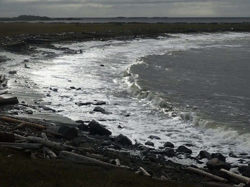 диксон берег. карское море диксон. берег карского моря. диксон берег. экология ямала.