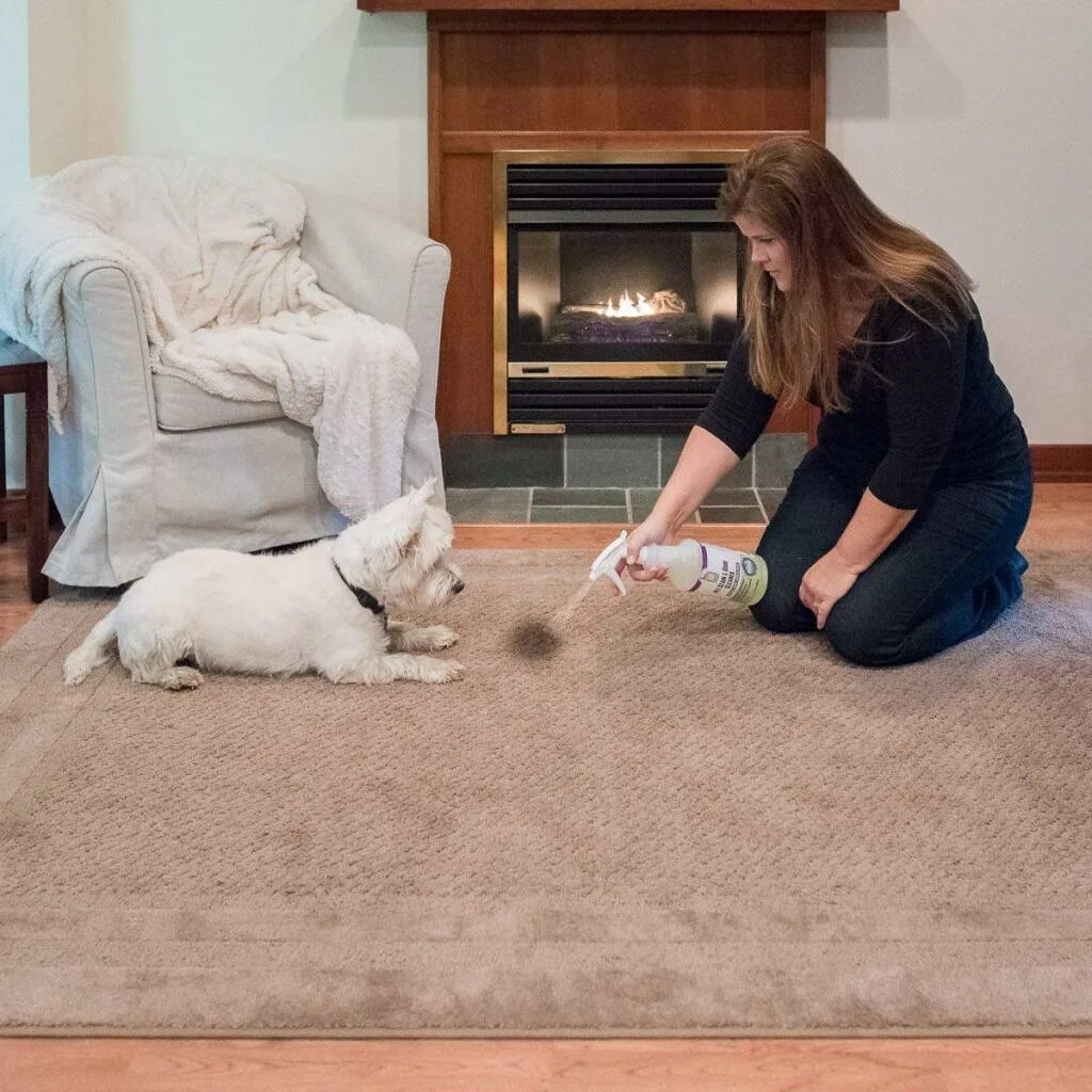 Pet cleaning. Собака на ковре. Питомца на ковре. Химчистка ковра от шерсти. Уборка шерсти домашних животных в квартире.