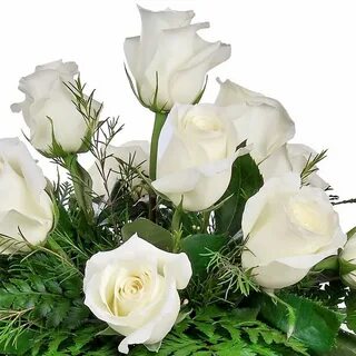 Белые цветы красивая открытка
