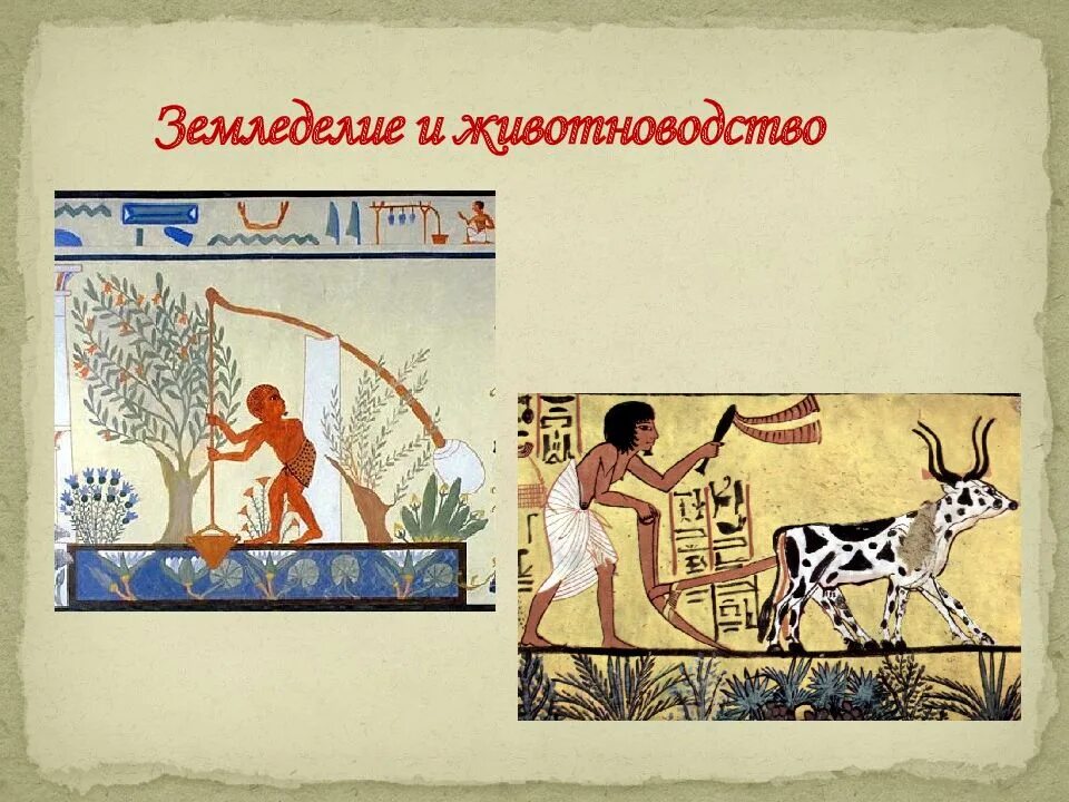 Жизнь древних земледельцев