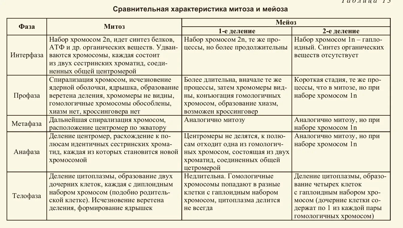 Митоз мейоз таблица ЕГЭ. Сравнительная характеристика фаз мейоза 1 и митоза. Сравнительная характеристика митоза и мейоза 10 класс. Сравнительная характеристика фаз мейоза и митоза. Задания егэ биология митоз мейоз