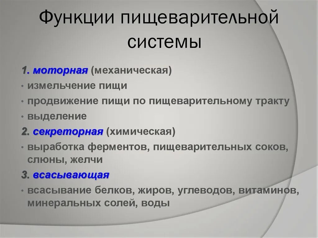 Какую функцию выполняет предмет. Функции пищеварительной системы. Функции системы пищеварения. Основные функции пищеварительной системы. Основные функции системы пищеварения.